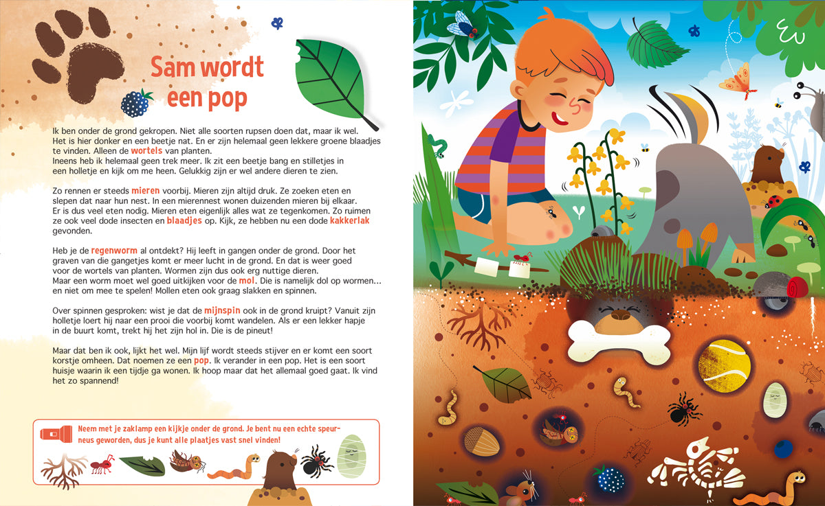 Speuren naar insecten | Lantaarn Publishers