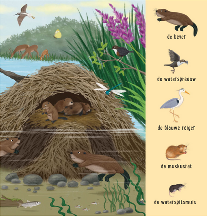 Uitgeverij Deltas | Mijn Eerste Zoekboek | Dieren bij het water
