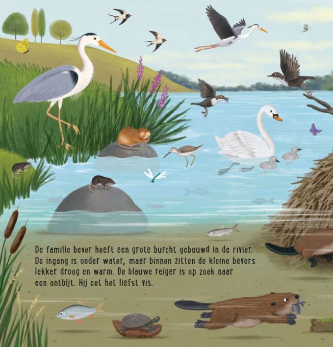 Uitgeverij Deltas | Mijn Eerste Zoekboek | Dieren bij het water