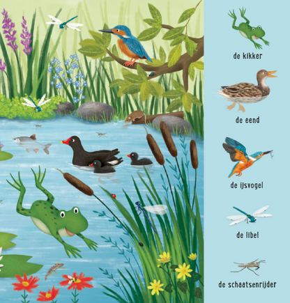 Uitgeverij Deltas | Mijn Eerste Zoekboek | Dieren bij het water