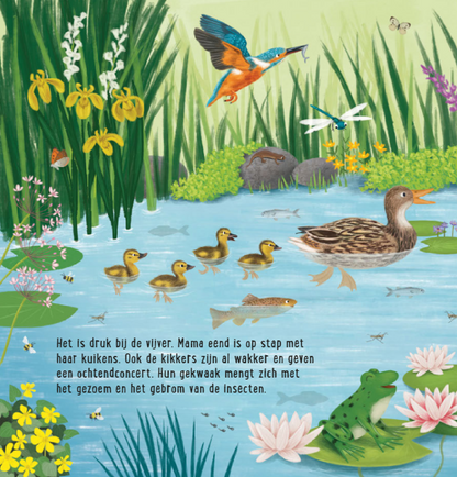 Uitgeverij Deltas | Mijn Eerste Zoekboek | Dieren bij het water
