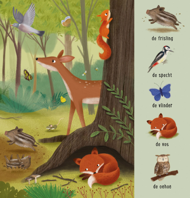 Uitgeverij Deltas | Mijn Eerste Zoekboek | Dieren in het bos