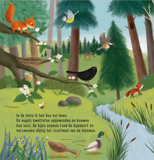 Uitgeverij Deltas | Mijn Eerste Zoekboek | Dieren in het bos