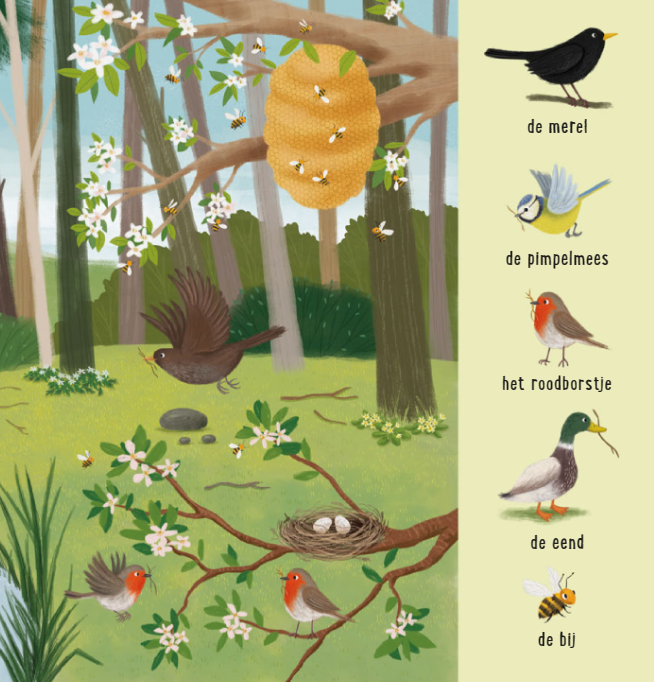 Uitgeverij Deltas | Mijn Eerste Zoekboek | Dieren in het bos