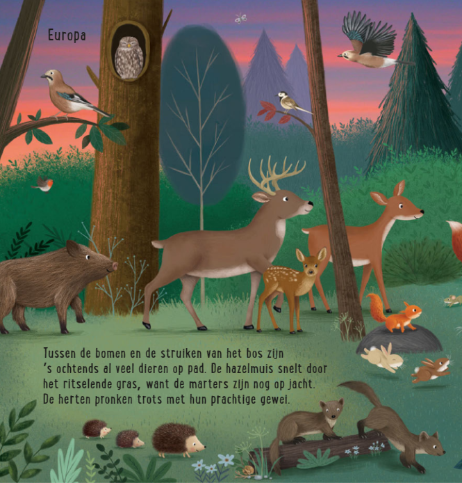 Uitgeverij Deltas | Mijn Eerste Zoekboek | Dieren uit de hele wereld