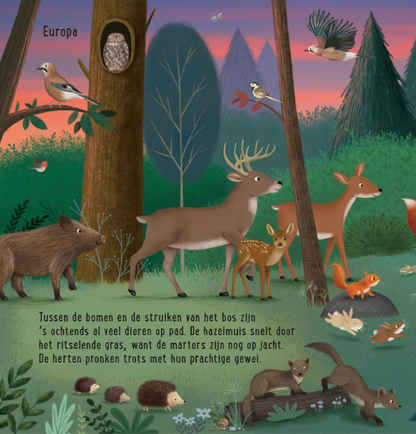 Uitgeverij Deltas | Mijn Eerste Zoekboek | Dieren uit de hele wereld