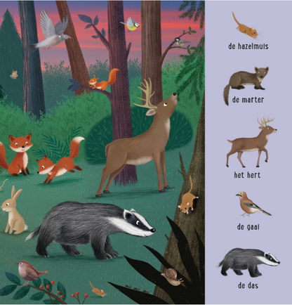 Uitgeverij Deltas | Mijn Eerste Zoekboek | Dieren uit de hele wereld