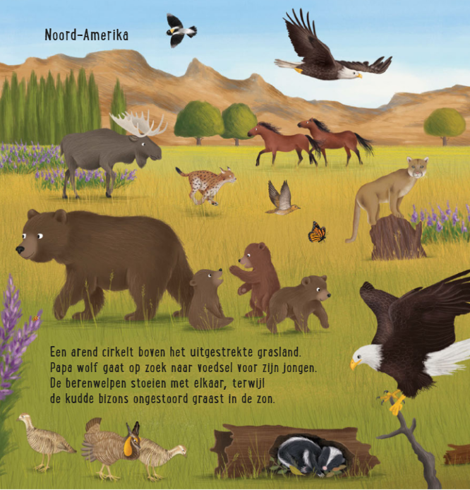 Uitgeverij Deltas | Mijn Eerste Zoekboek | Dieren uit de hele wereld
