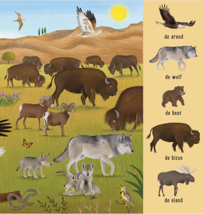 Uitgeverij Deltas | Mijn Eerste Zoekboek | Dieren uit de hele wereld
