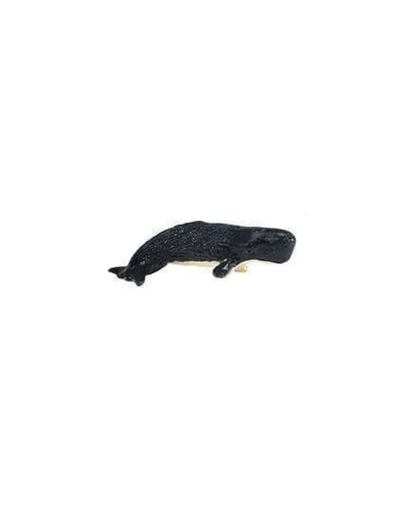 Losse zeedieren | Safari LTD