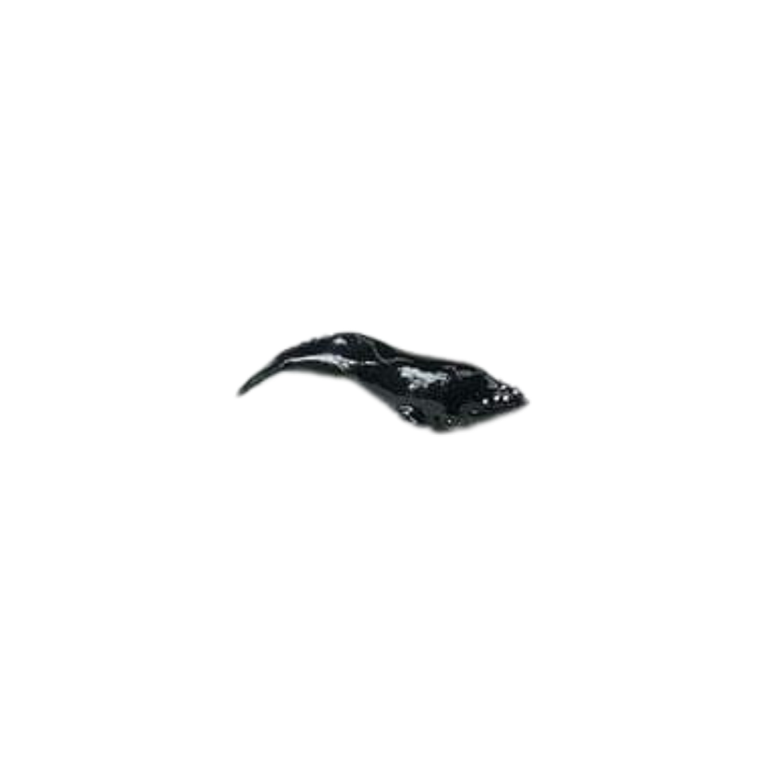 Losse baby zeedieren | Safari LTD
