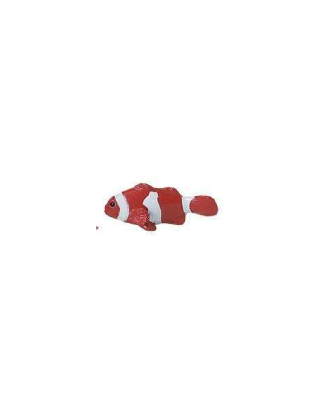 Losse koraalrif dieren | Safari LTD