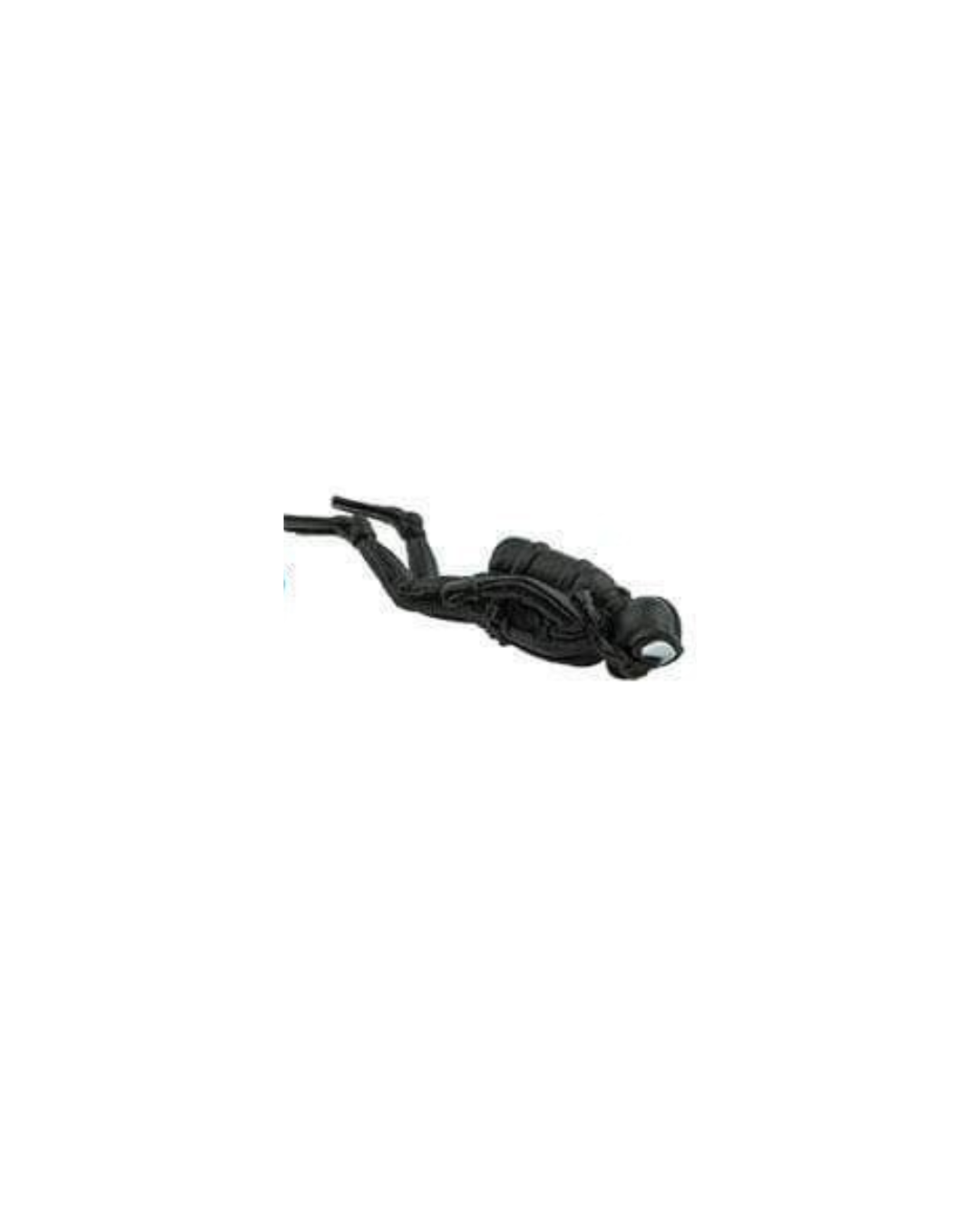 Losse koraalrif dieren | Safari LTD
