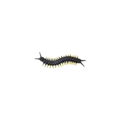 Losse insecten | Safari LTD
