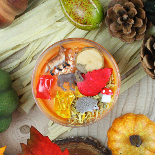 Invitation to Imagine | Verrassingspot | Bosdieren