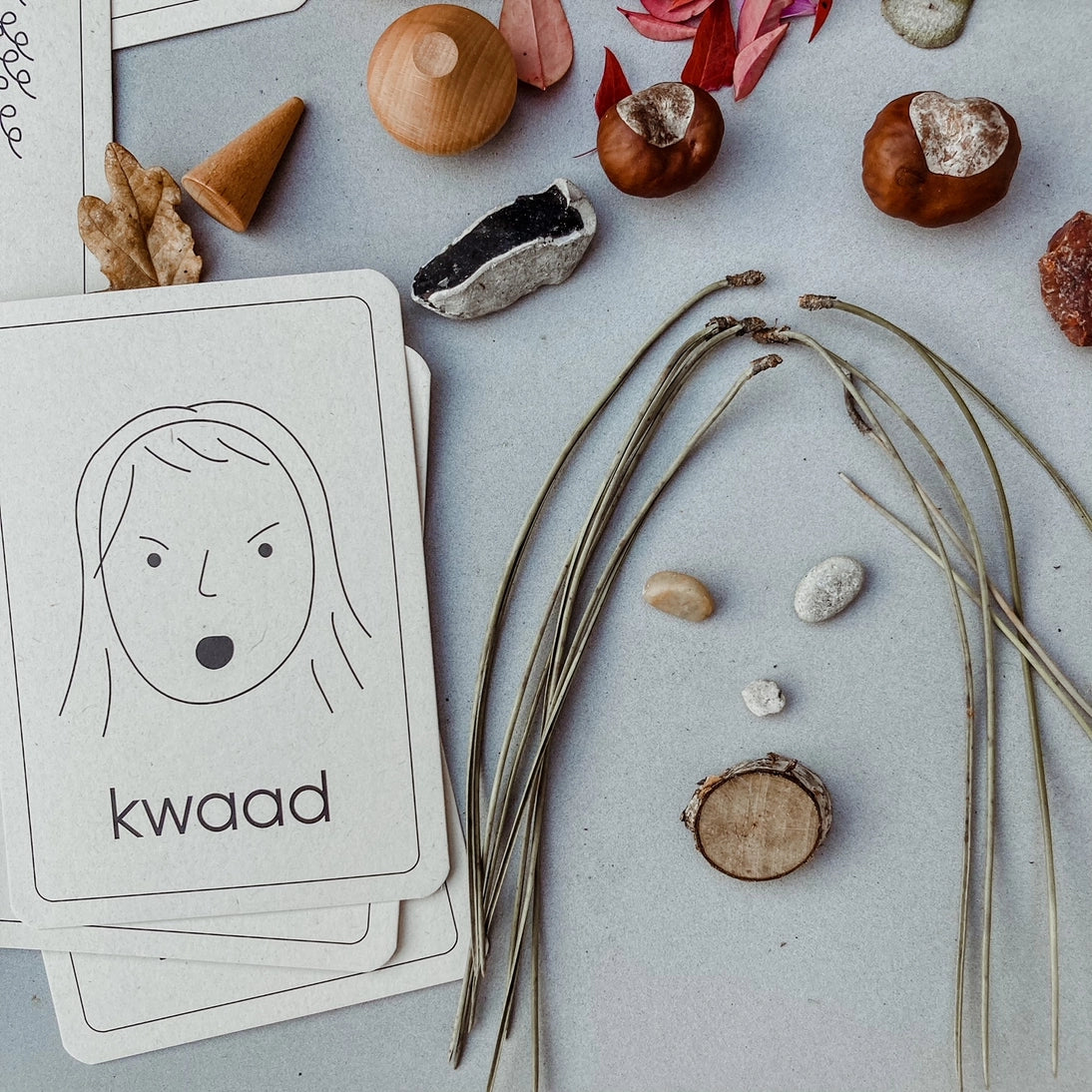 Wildebras | Flashcards | Emotie