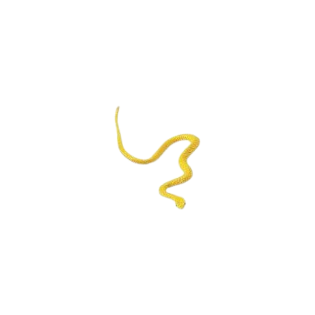 Losse reptielen | Safari LTD
