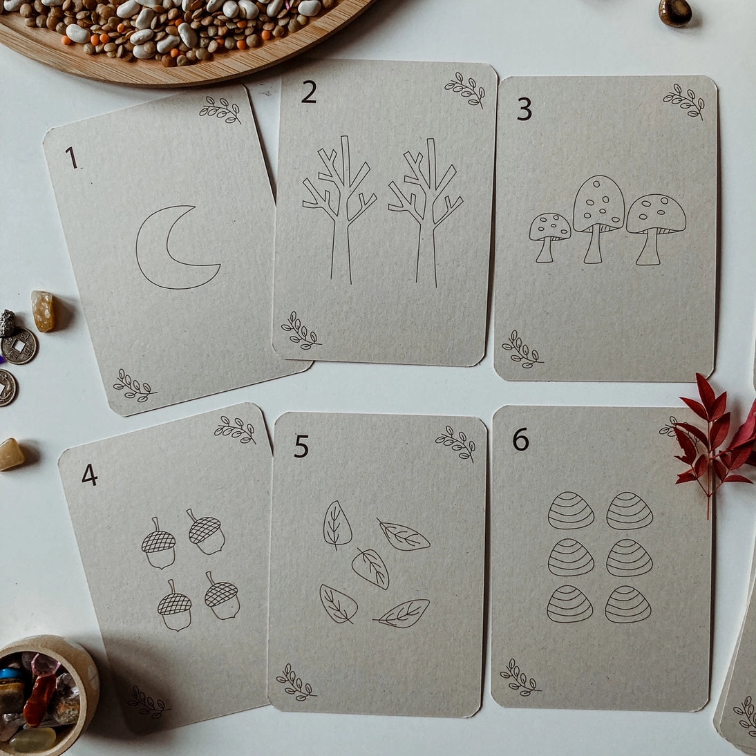 Wildebras | Flashcards | Getallen