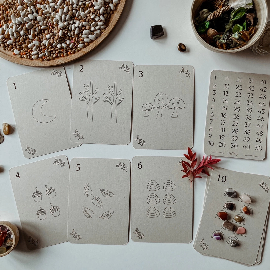 Wildebras | Flashcards | Getallen
