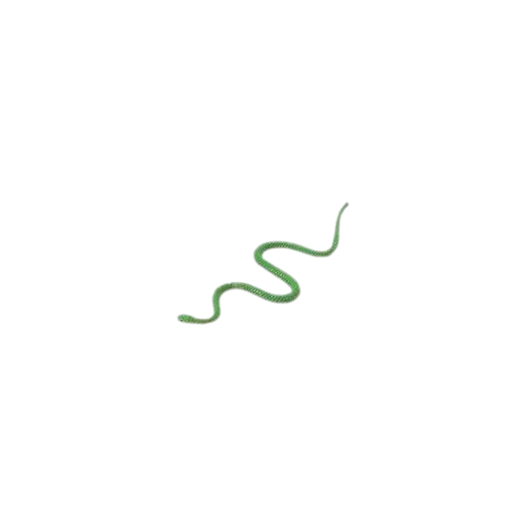 Losse reptielen | Safari LTD