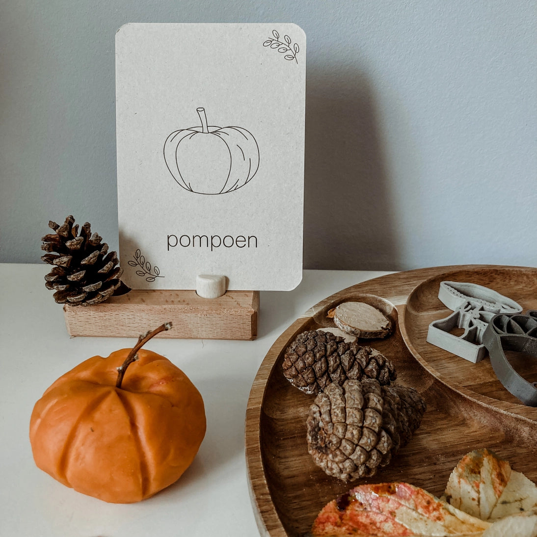 Wildebras | Flashcards | Herfst