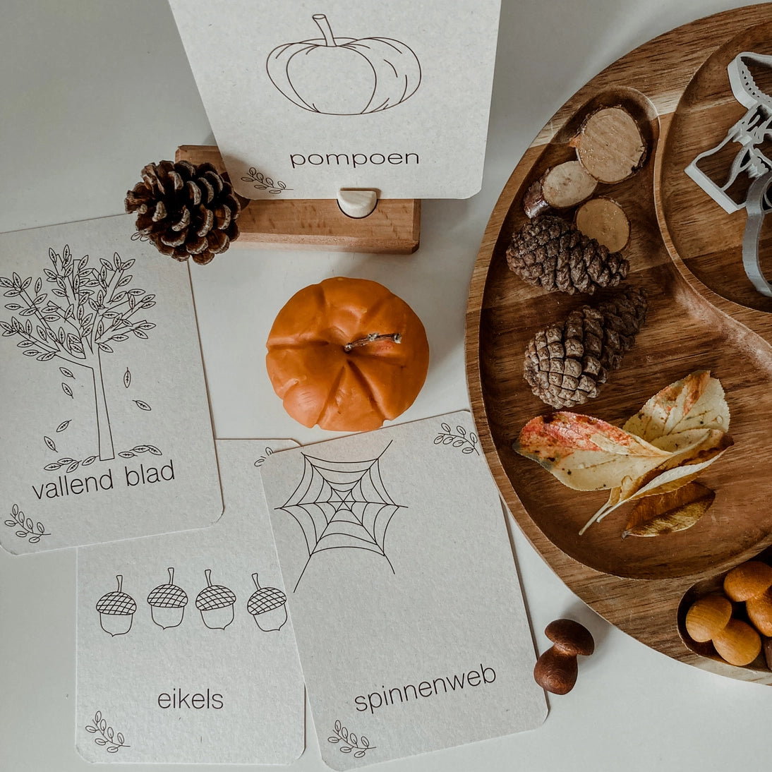 Wildebras | Flashcards | Herfst