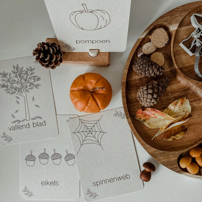 Wildebras | Flashcards | Herfst