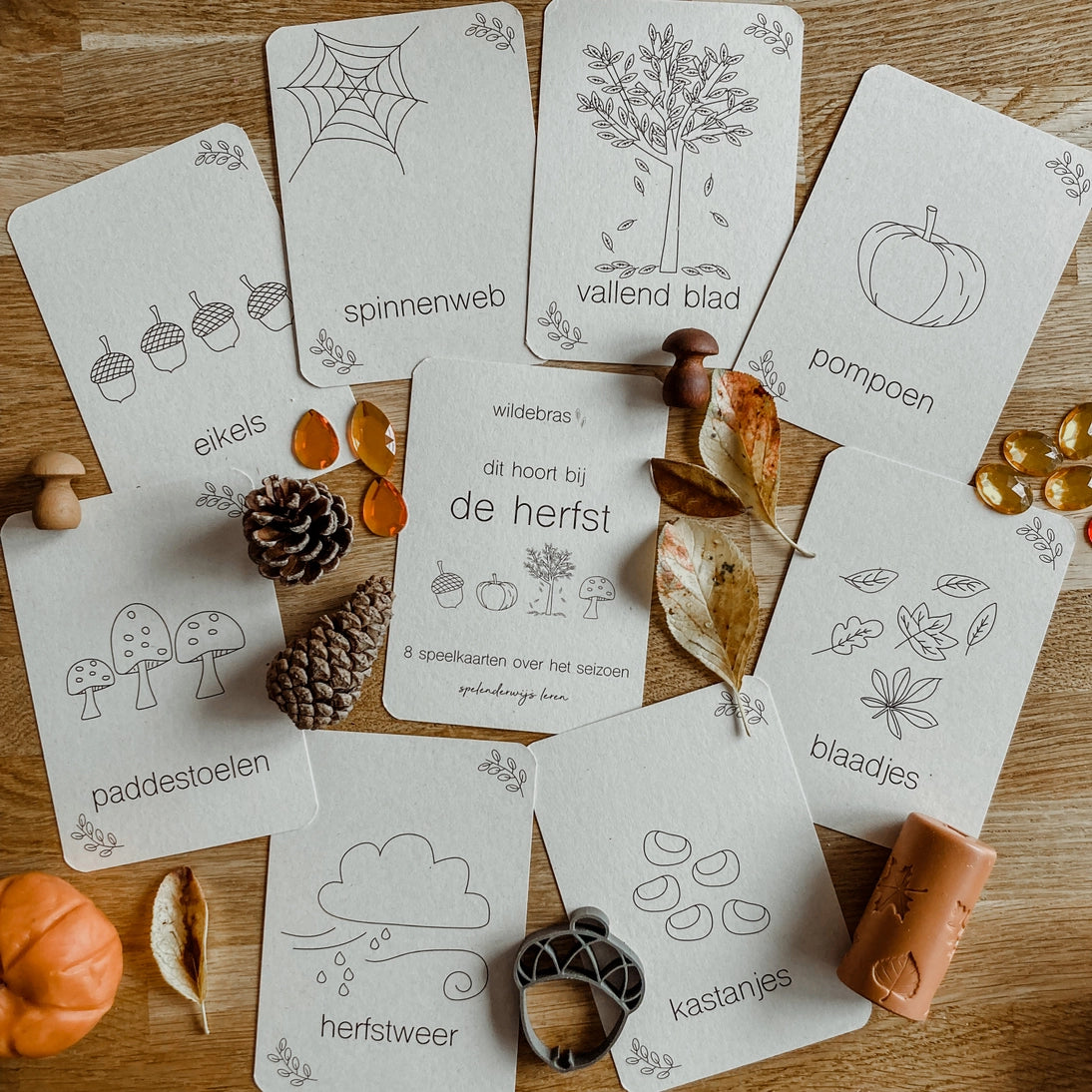 Wildebras | Flashcards | Herfst
