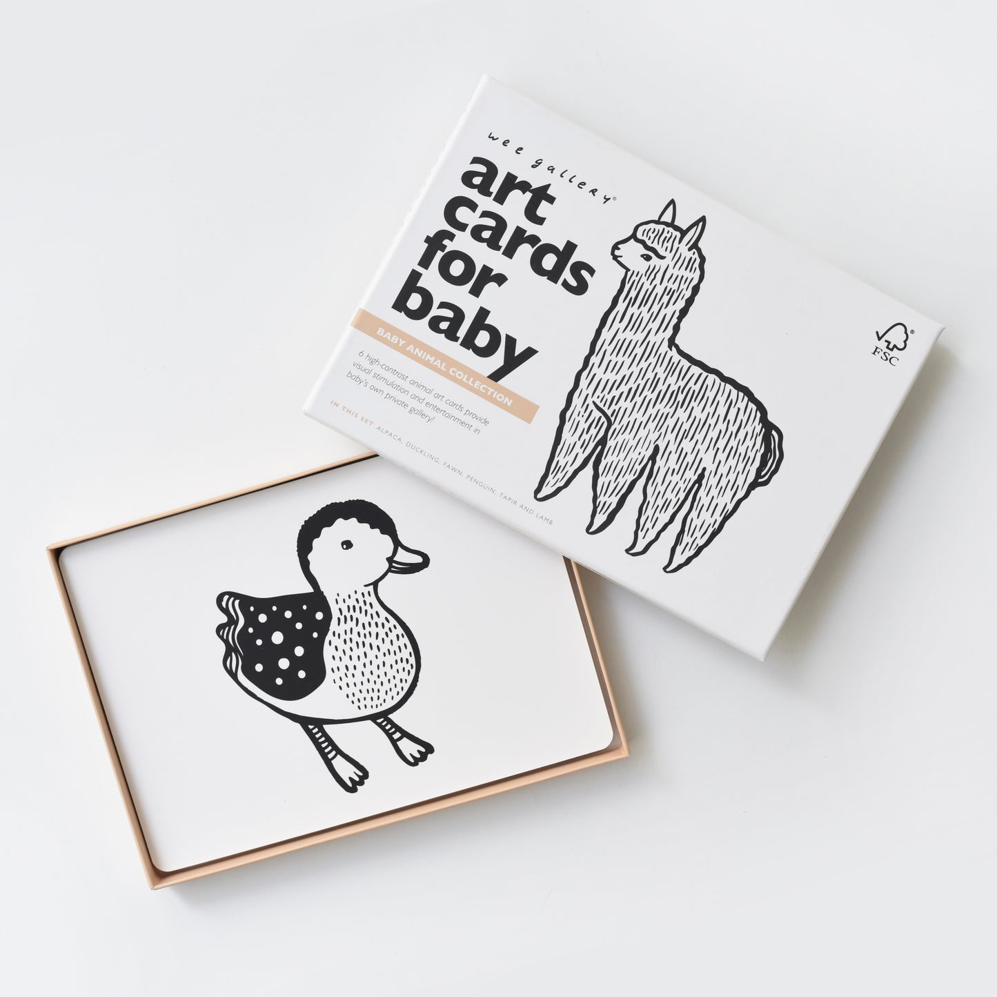 Wee Gallery | Art Cards | Baby Dieren