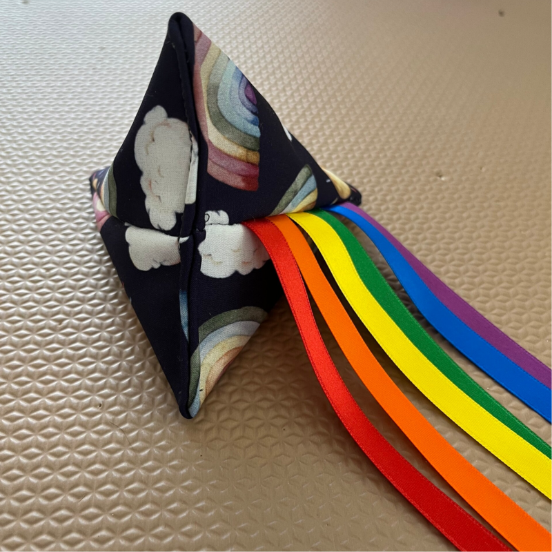 Naaisels van Siem | Lintvlieger | Regenboog