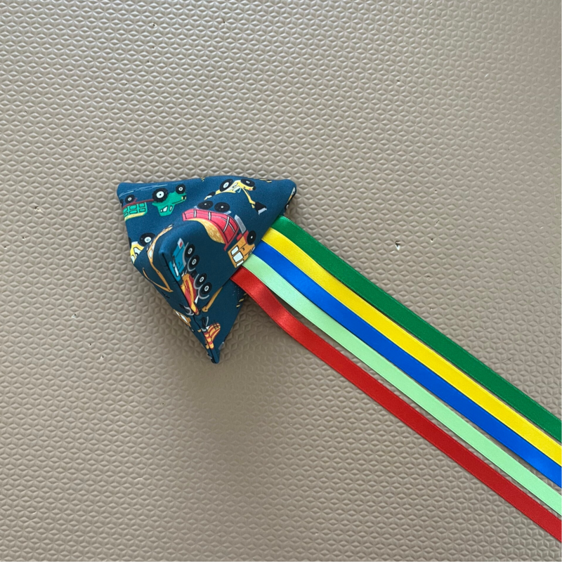 Naaisels van Siem | Lintvlieger | Voertuigen