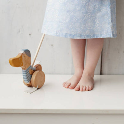 Friendly Toys | Houten Eend met Duwstok | Blauw