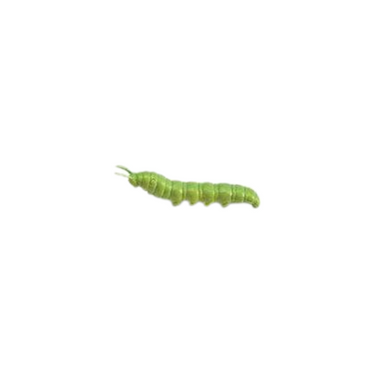 Losse insecten | Safari LTD