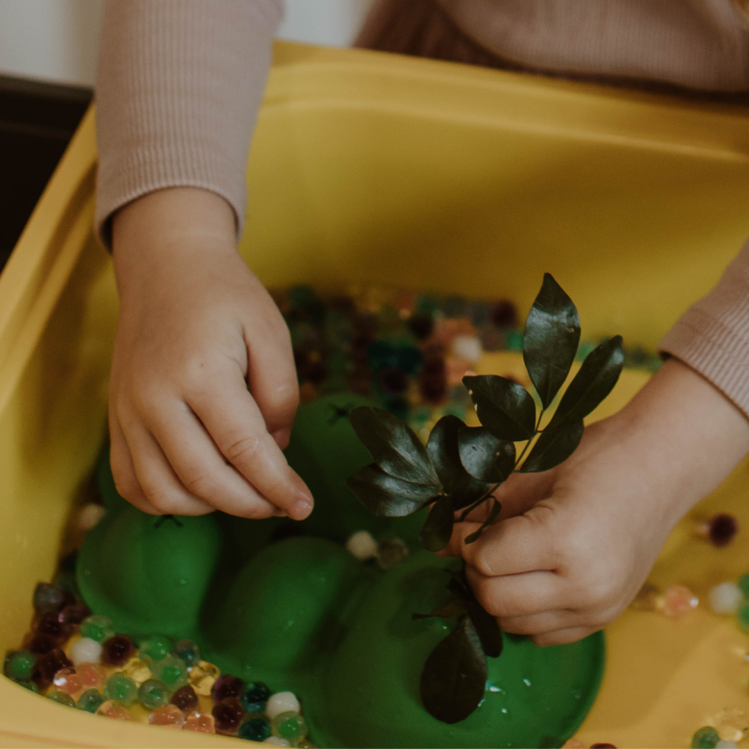 Jellystone Designs | Sensorische Scènezetters | Regenwoud