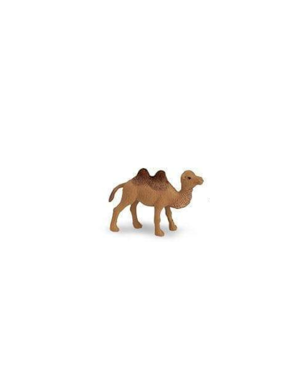 Losse wilde dieren | Safari LTD