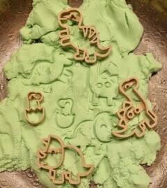 Kiddi | Uitsteker | Set | Dino's