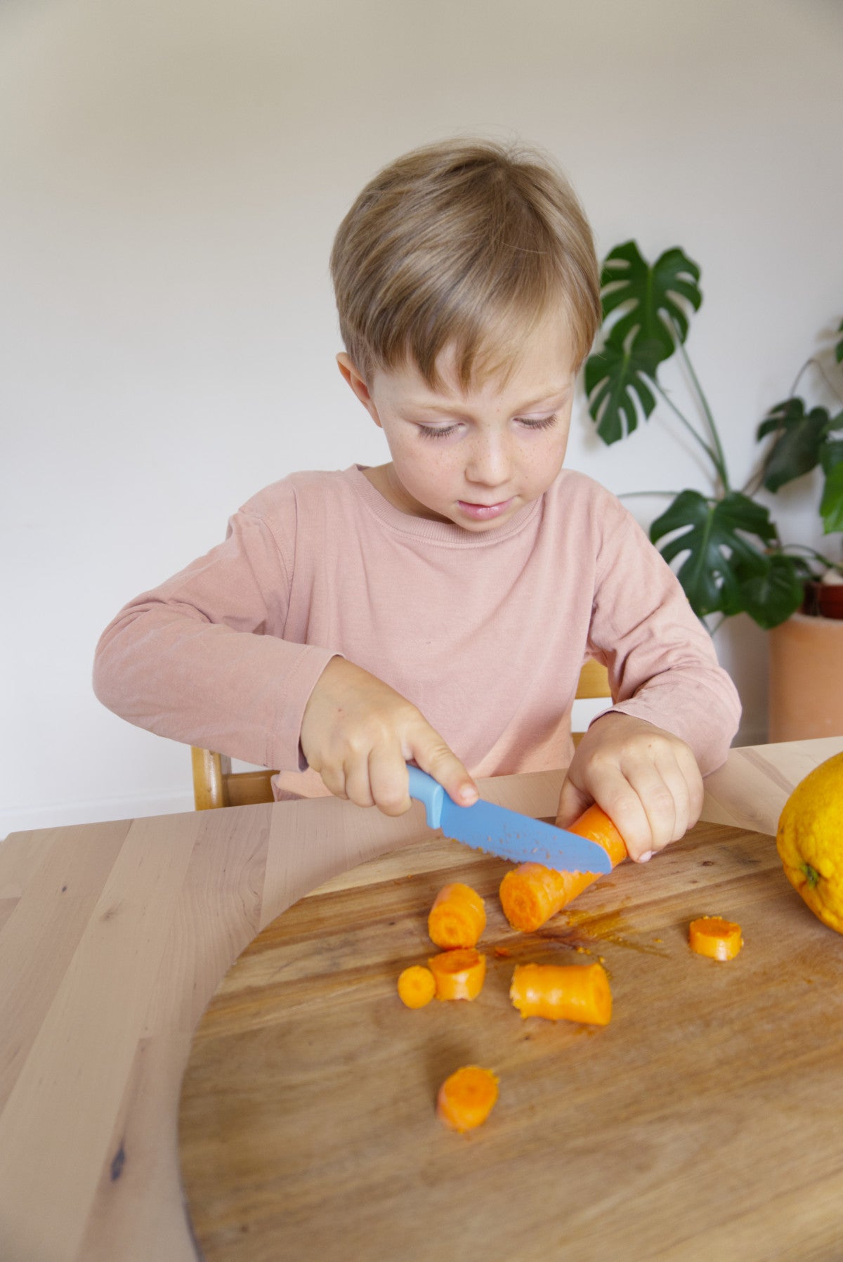 Skågfä | Kindermes Klyv | Terra