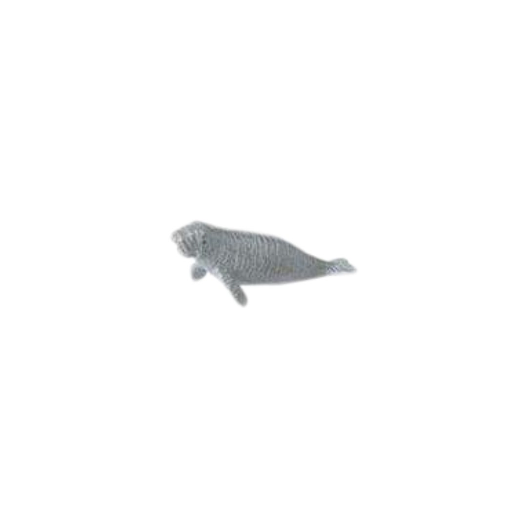 Losse baby zeedieren | Safari LTD