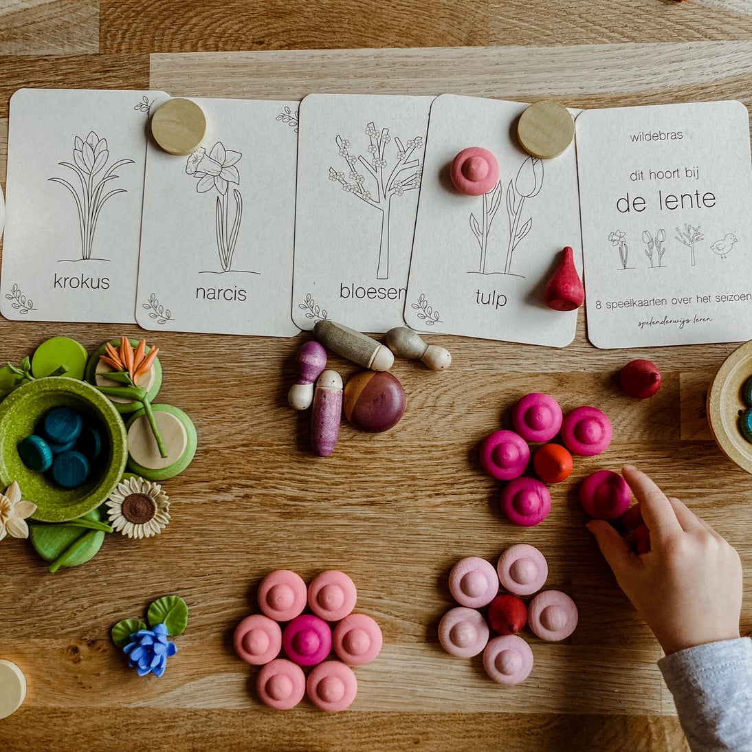 Wildebras | Flashcards | Lente