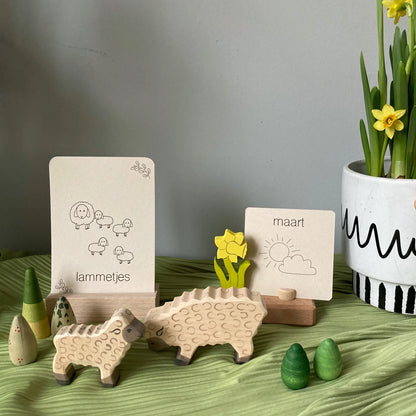 Wildebras | Flashcards | Lente
