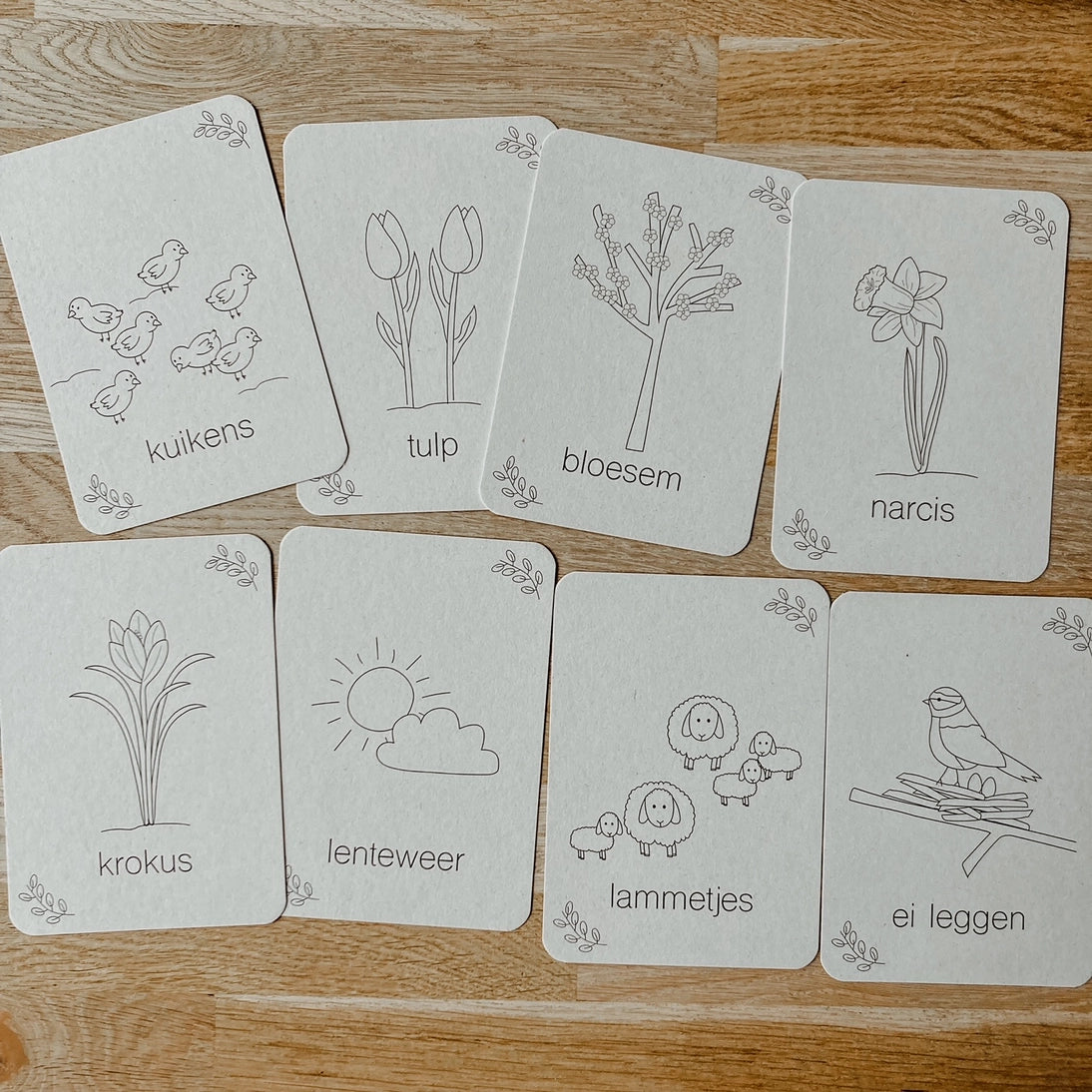 Wildebras | Flashcards | Lente