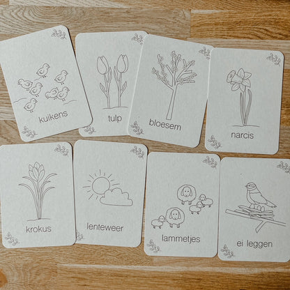 Wildebras | Flashcards | Lente