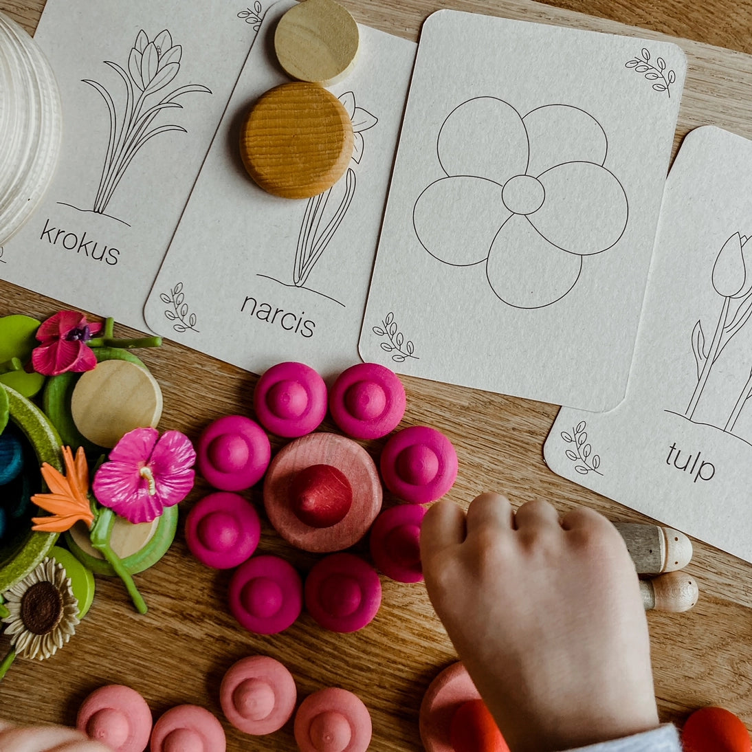 Wildebras | Flashcards | Lente