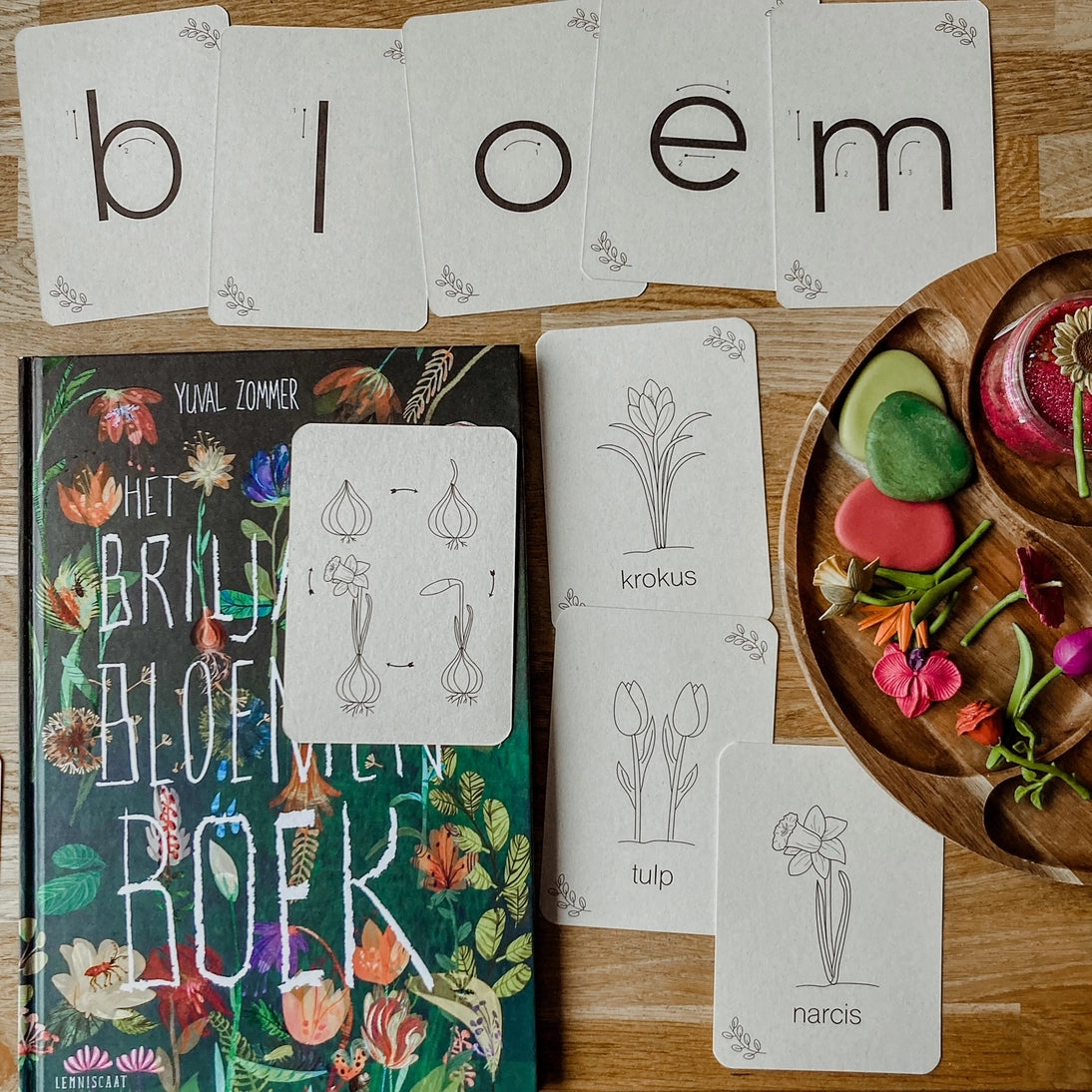 Wildebras | Flashcards | Lente