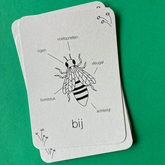 Wildebras | Flashcards | Levensloop | Bij