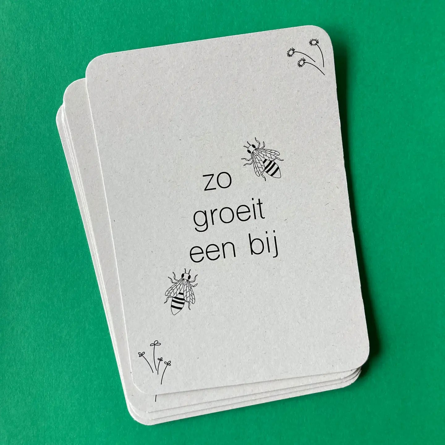 Wildebras | Flashcards | Levensloop | Bij