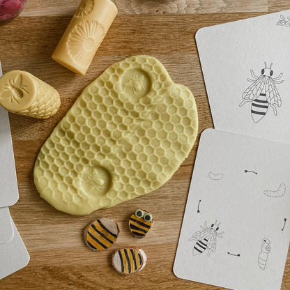 Wildebras | Flashcards | Levensloop | Bij