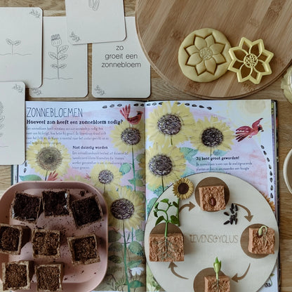 Wildebras | Flashcards | Levensloop | Set | Bij - Zonnebloem - Paardenbloem - Lieveheersbeestje