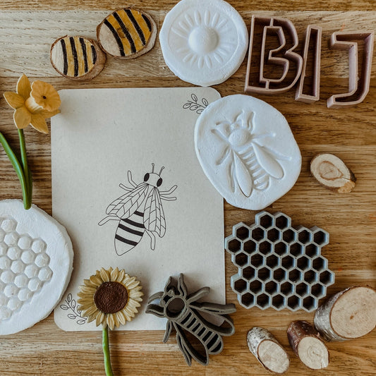 Wildebras | Flashcards | Levensloop | Set | Bij - Zonnebloem - Paardenbloem - Lieveheersbeestje
