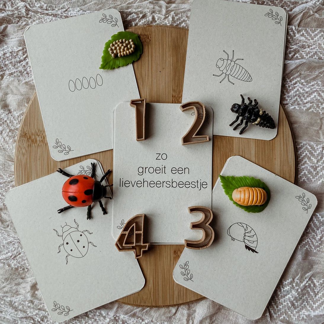 Wildebras | Flashcards | Levensloop | Set | Bij - Zonnebloem - Paardenbloem - Lieveheersbeestje